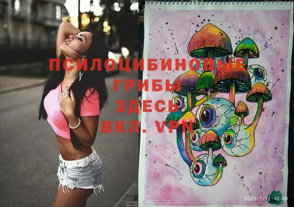 Альфа ПВП Алзамай