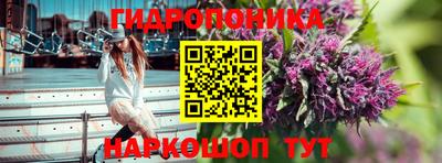 молекула духа Пушкино